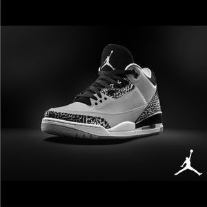 Air Jordan 3 Retro Wolf Grey